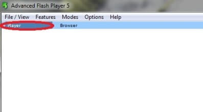 Advanced Flash Player